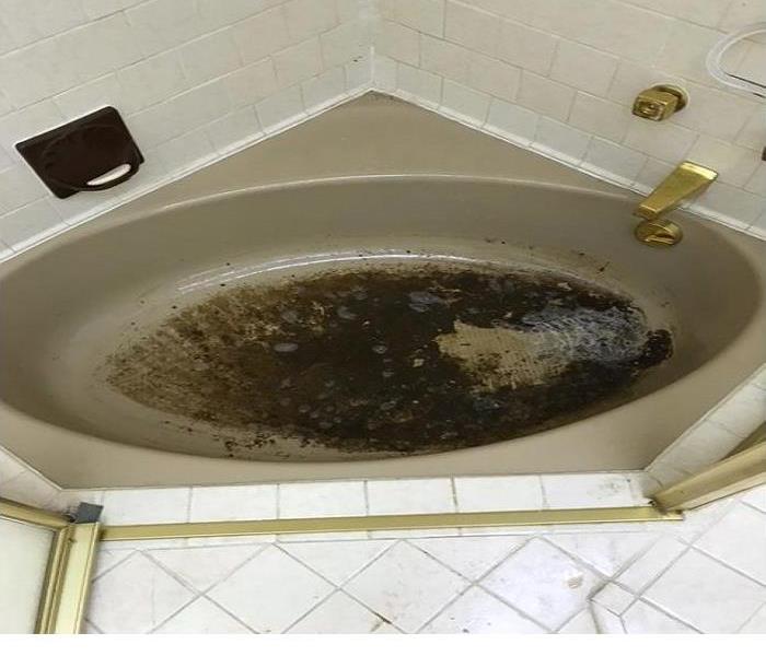 Tan colored bathtub that is filled with sewage back up. 