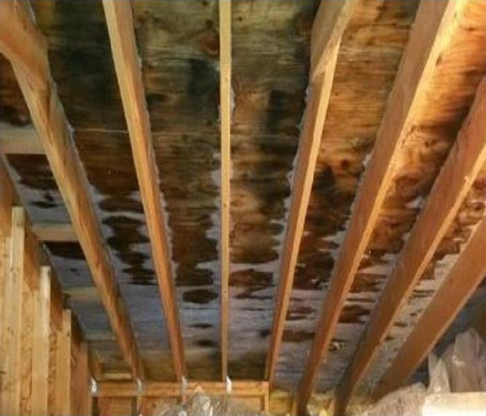 Attic Ceiling of wooden panels with mold and is wet