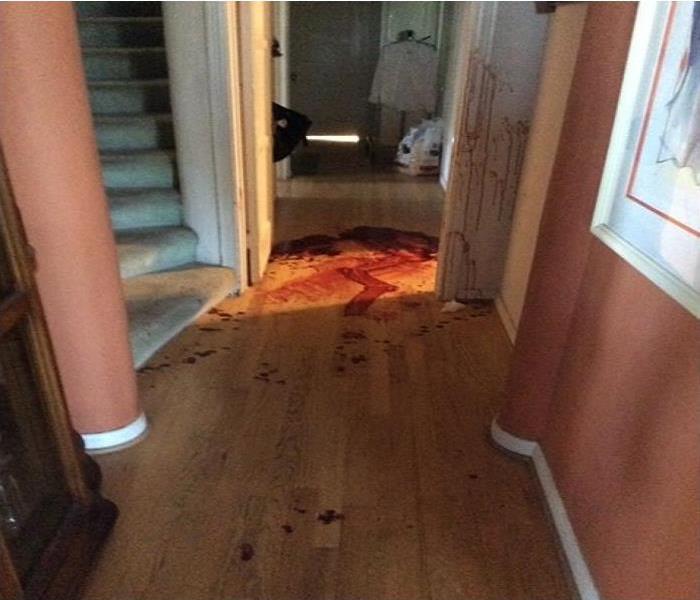 Entryway of a home that with blood on the floor and the walls.