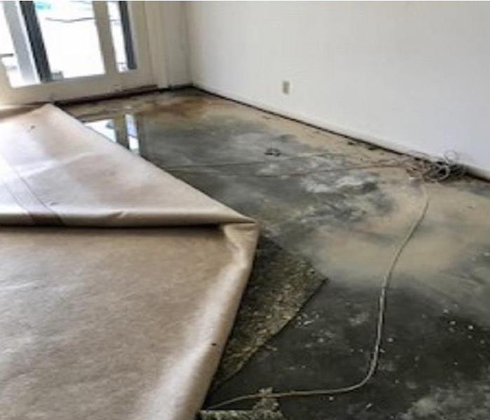 Living Room with off white yellow carpet partially removed- soaking with water.