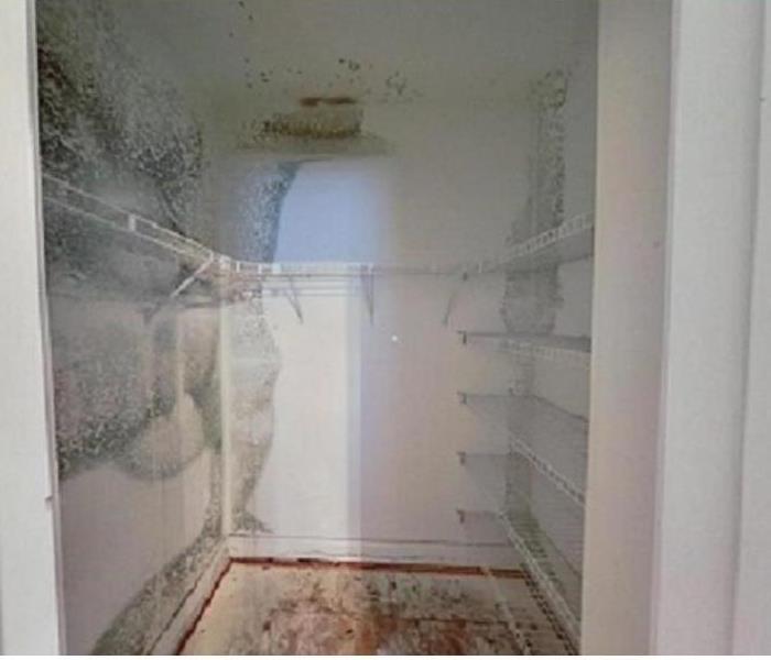 Mold in closet