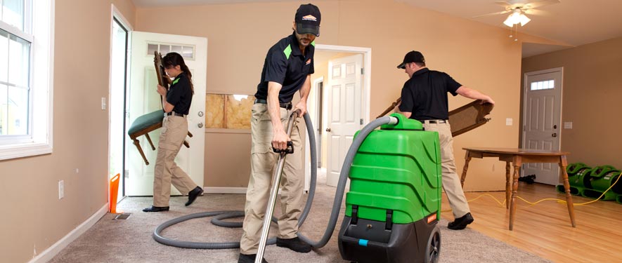 Palos Verdes Estates, CA cleaning services